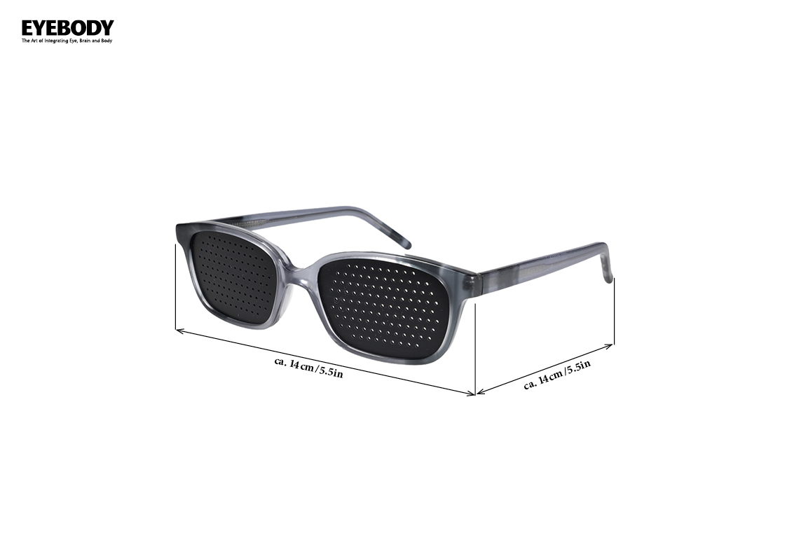 The Eyebody gafas reticulares (montura gris) - Imagen 4